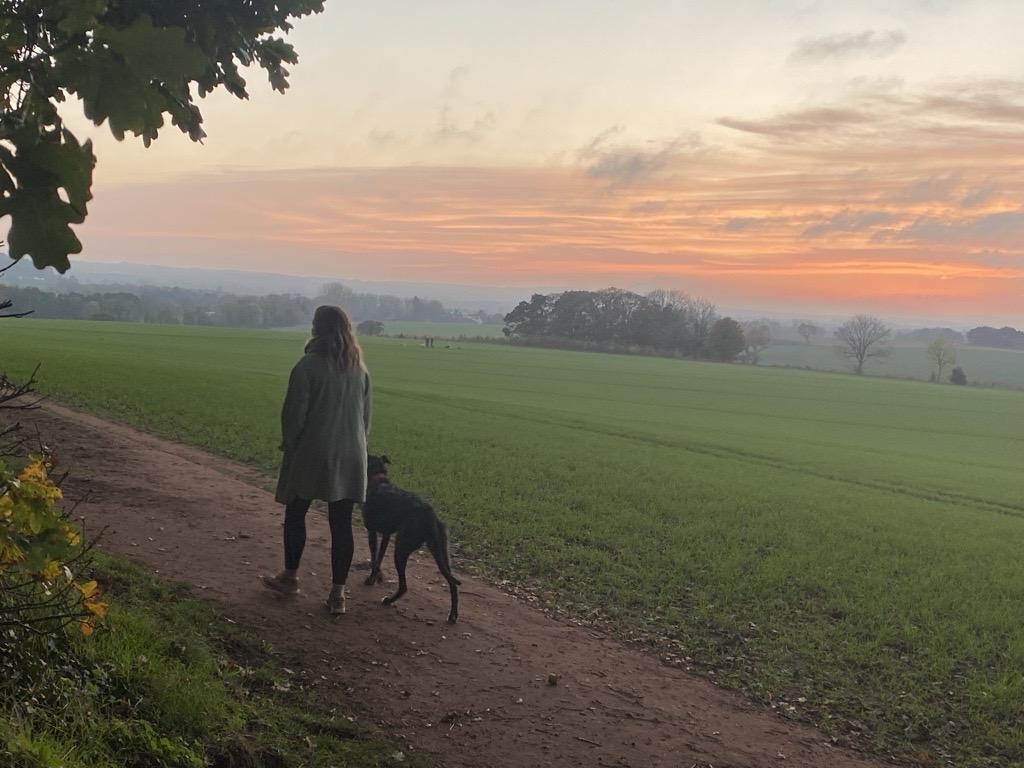 Photo of a person walking their dog in a field