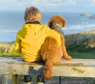 A young child and a dog looking at the sea - positive image library