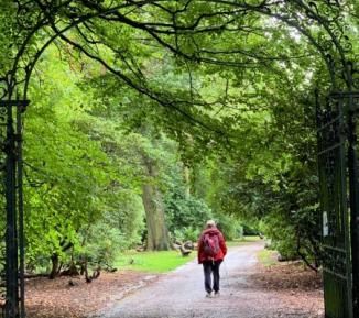 Person walking in a park