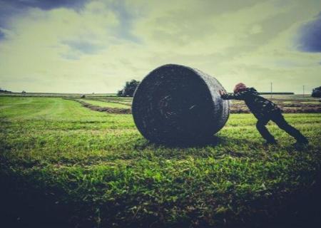 Farming crop 